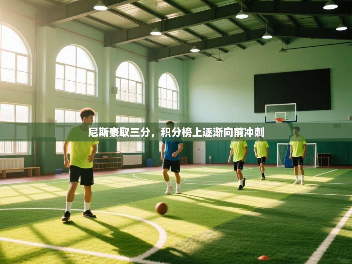 尼斯豪取三分，积分榜上逐渐向前冲刺  第1张